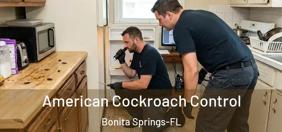  American Cockroach Control Bonita Springs-FL