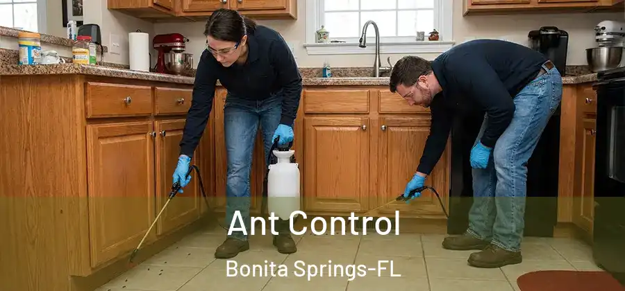  Ant Control Bonita Springs-FL