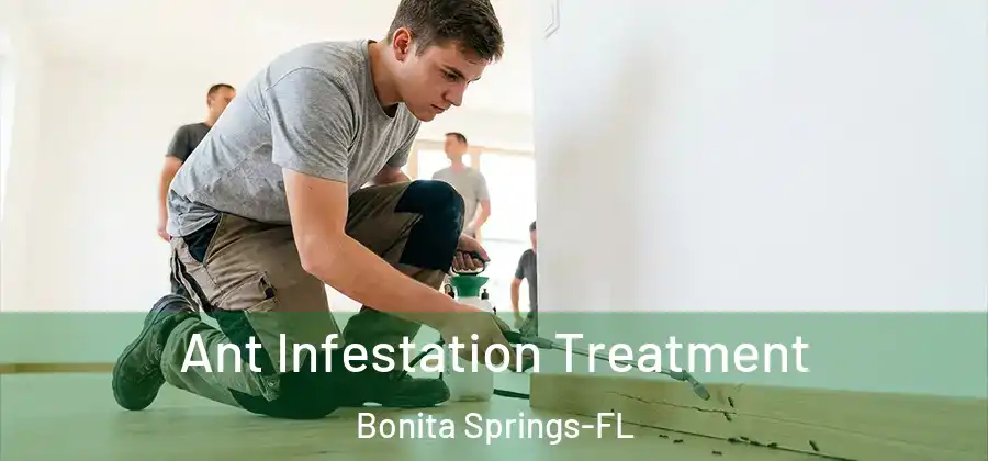Ant Infestation Treatment Bonita Springs-FL