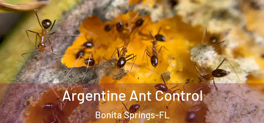  Argentine Ant Control Bonita Springs-FL