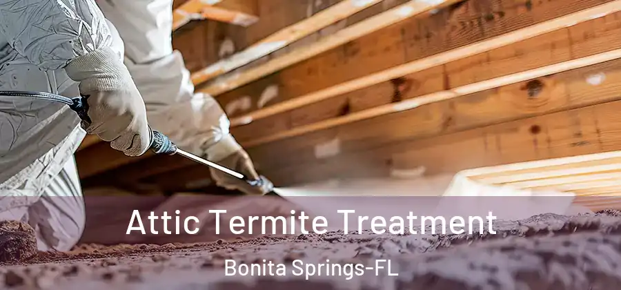  Attic Termite Treatment Bonita Springs-FL