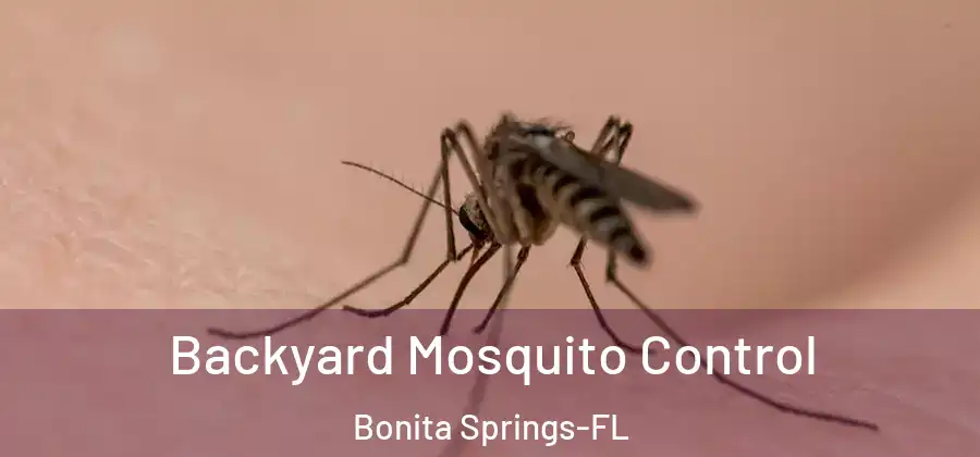  Backyard Mosquito Control Bonita Springs-FL