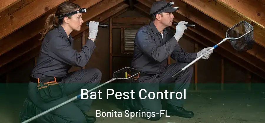 Bat Pest Control Bonita Springs-FL