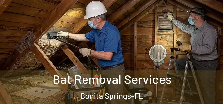 Bat Removal Services Bonita Springs-FL