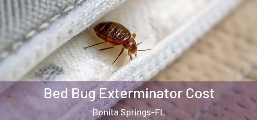  Bed Bug Exterminator Cost Bonita Springs-FL