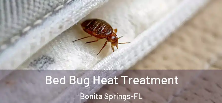Bed Bug Heat Treatment Bonita Springs-FL