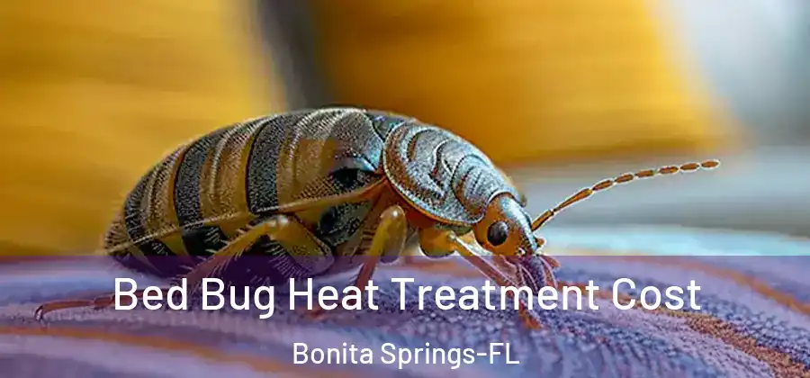  Bed Bug Heat Treatment Cost Bonita Springs-FL