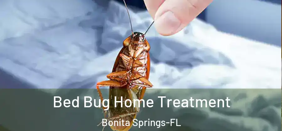 Bed Bug Home Treatment Bonita Springs-FL