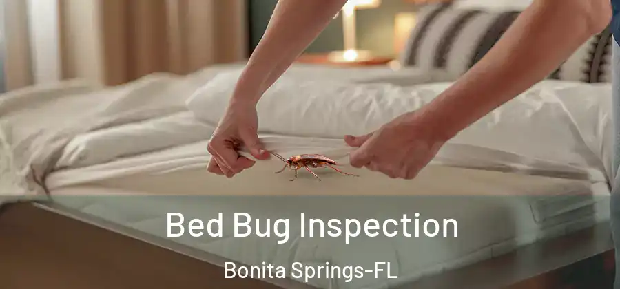  Bed Bug Inspection Bonita Springs-FL