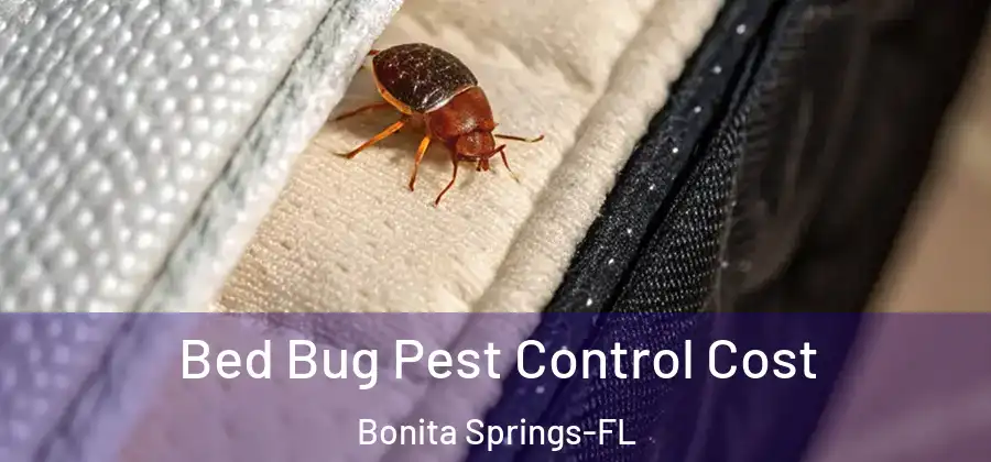  Bed Bug Pest Control Cost Bonita Springs-FL