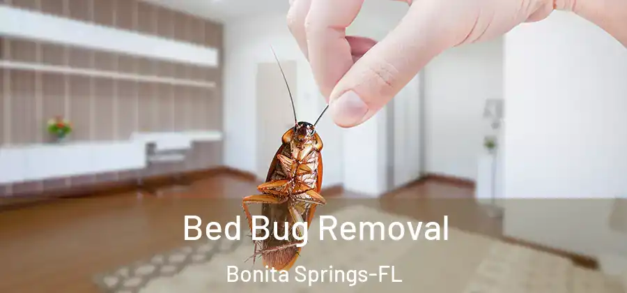 Bed Bug Removal Bonita Springs-FL