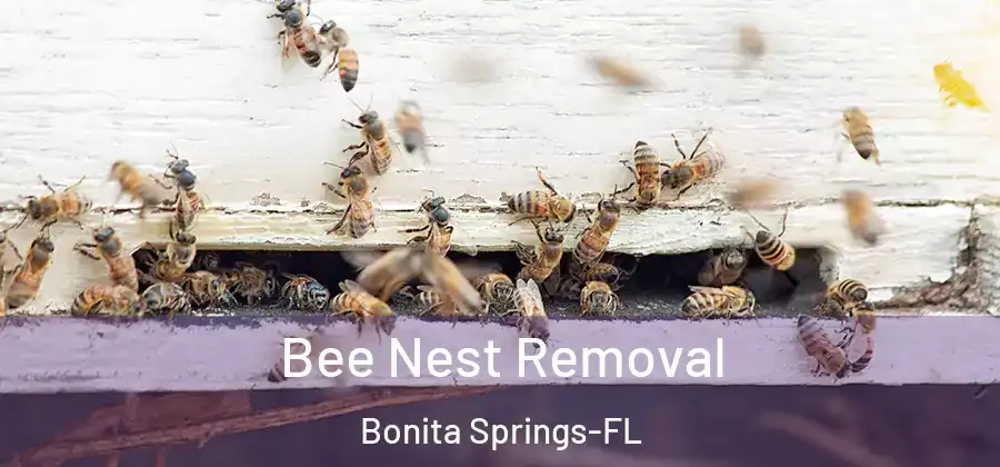  Bee Nest Removal Bonita Springs-FL
