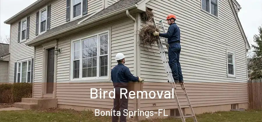 Bird Removal Bonita Springs-FL