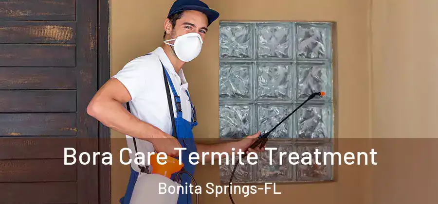 Bora Care Termite Treatment Bonita Springs-FL