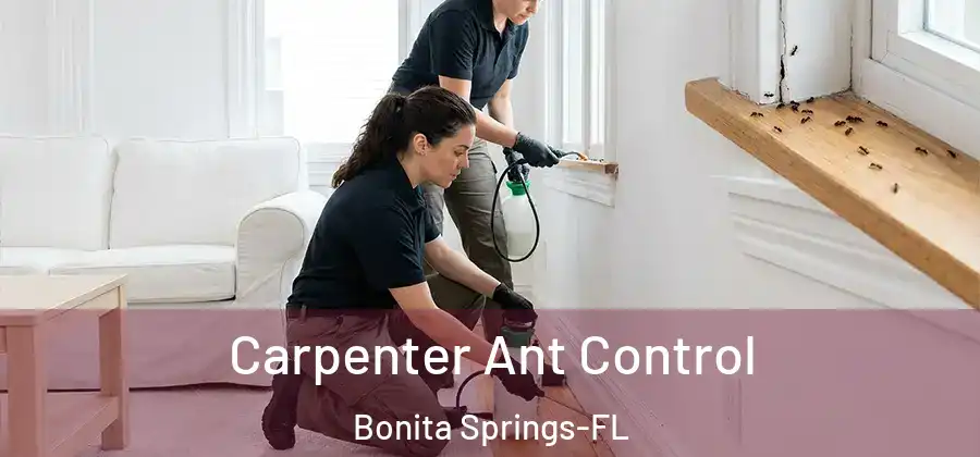  Carpenter Ant Control Bonita Springs-FL