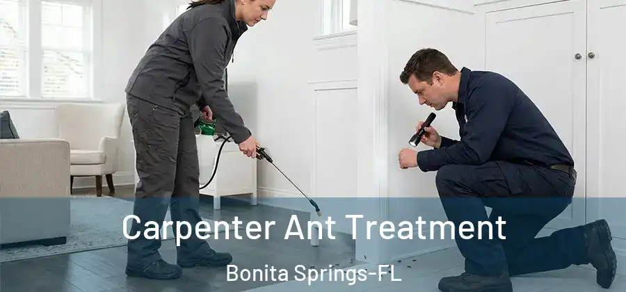 Carpenter Ant Treatment Bonita Springs-FL