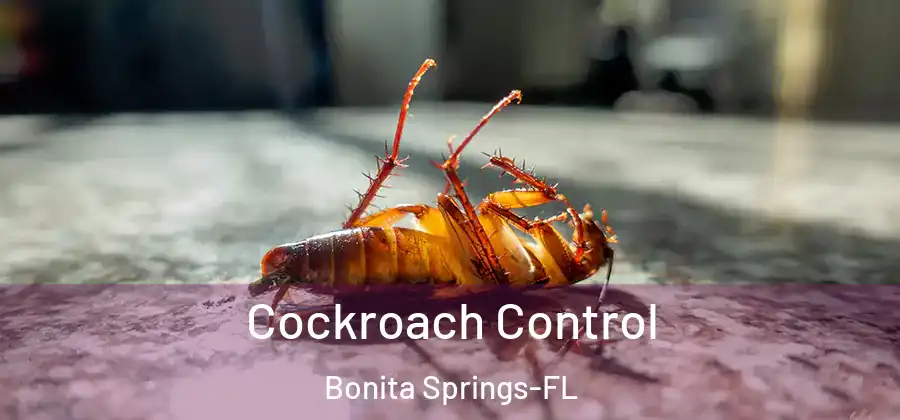  Cockroach Control Bonita Springs-FL
