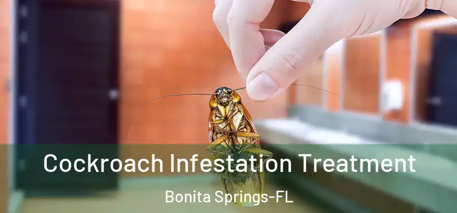 Cockroach Infestation Treatment Bonita Springs-FL