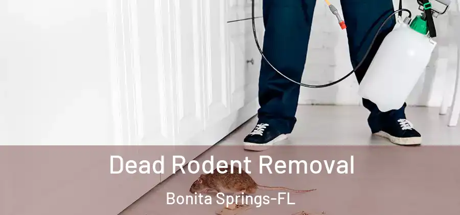 Dead Rodent Removal Bonita Springs-FL