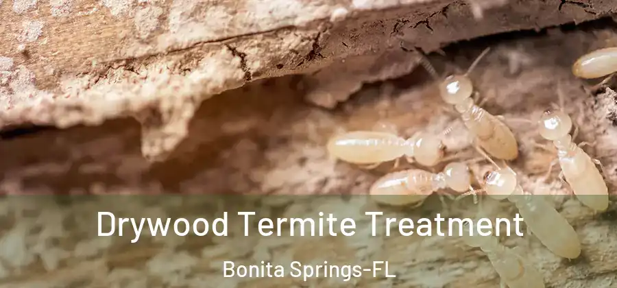 Drywood Termite Treatment Bonita Springs-FL