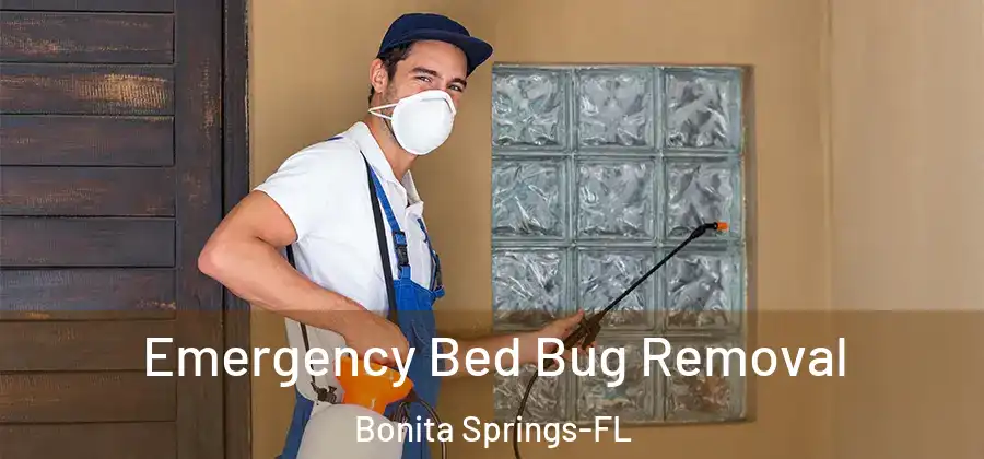  Emergency Bed Bug Removal Bonita Springs-FL