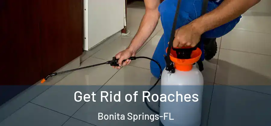 Get Rid of Roaches Bonita Springs-FL