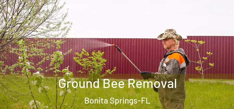 Ground Bee Removal Bonita Springs-FL