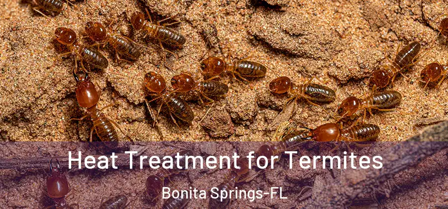 Heat Treatment for Termites Bonita Springs-FL