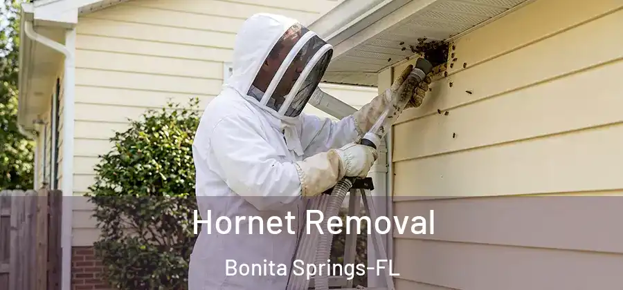  Hornet Removal Bonita Springs-FL