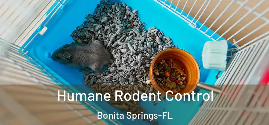  Humane Rodent Control Bonita Springs-FL