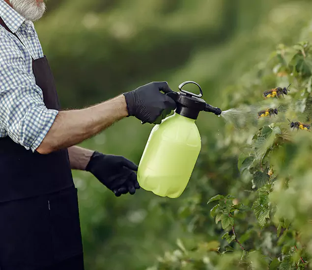 Your Carpenter Bee Service in Bonita Springs, FL