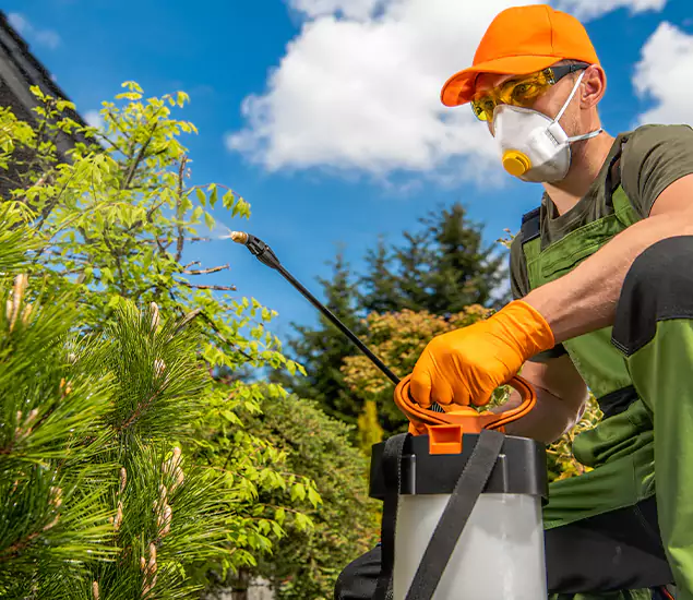 Your Mosquito Repellent Barrier Service in Bonita Springs, FL
