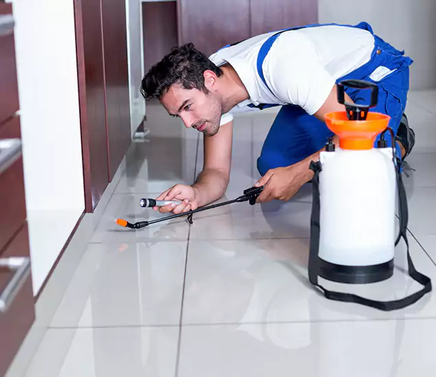 Trusted Rat Control Services Specialists in Bonita Springs, FL