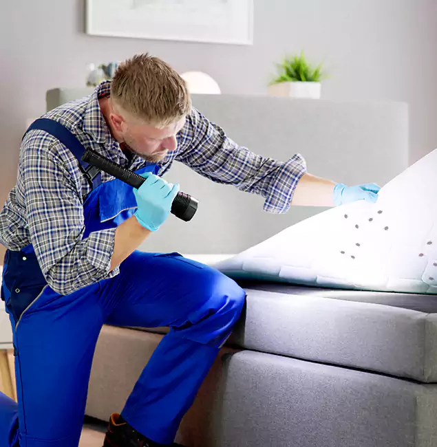 Why Choose Bonita Springs Pest Control Pro For Bed Bug Heat Treatment in Bonita Springs, FL?