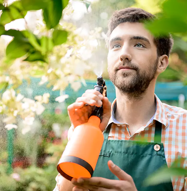 Why Bonita Springs Homeowners Call Bonita Springs Pest Control Pro for Mosquitoes in House?