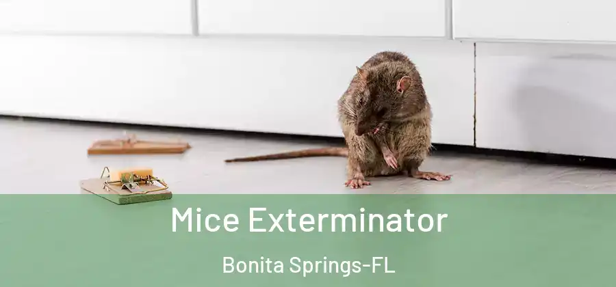  Mice Exterminator Bonita Springs-FL