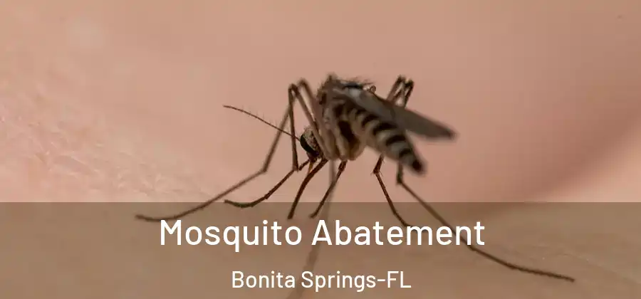 Mosquito Abatement Bonita Springs-FL