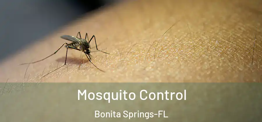  Mosquito Control Bonita Springs-FL