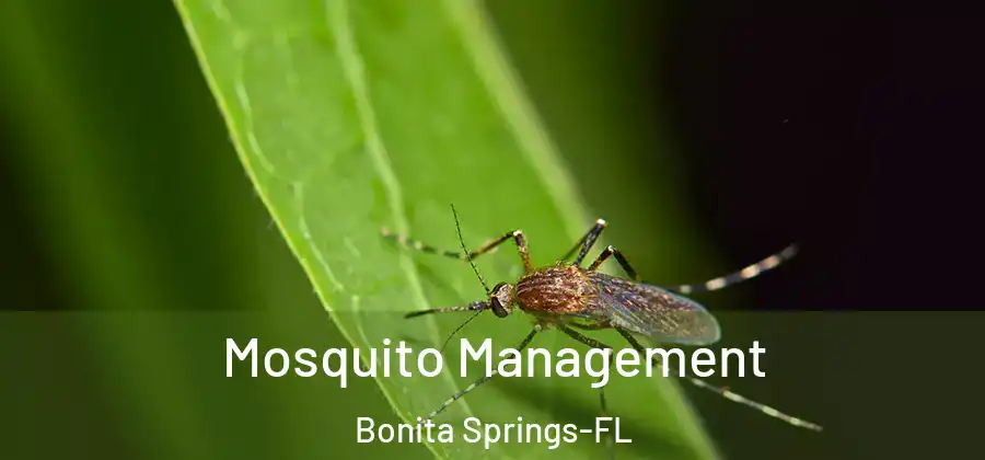  Mosquito Management Bonita Springs-FL