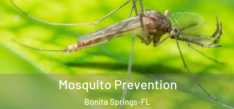  Mosquito Prevention Bonita Springs-FL