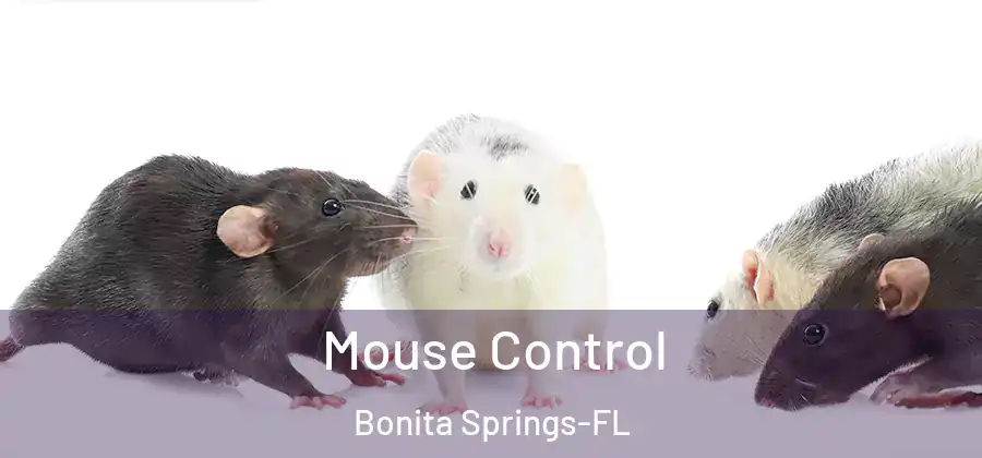  Mouse Control Bonita Springs-FL