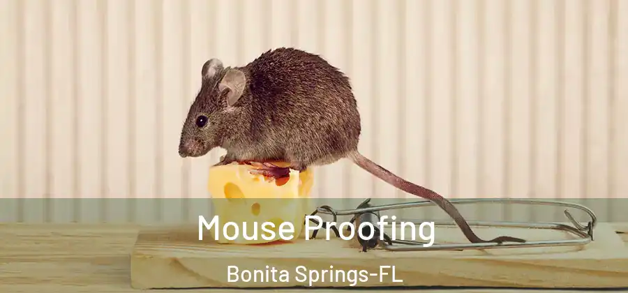  Mouse Proofing Bonita Springs-FL