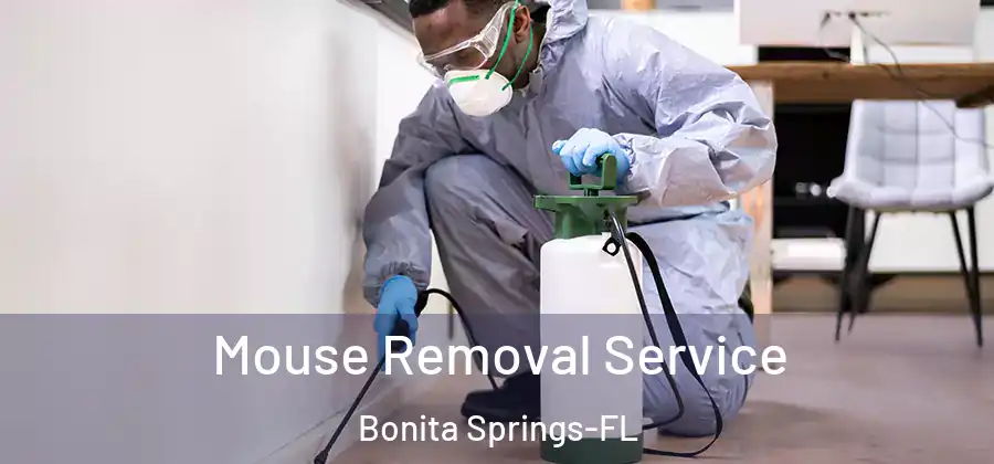  Mouse Removal Service Bonita Springs-FL