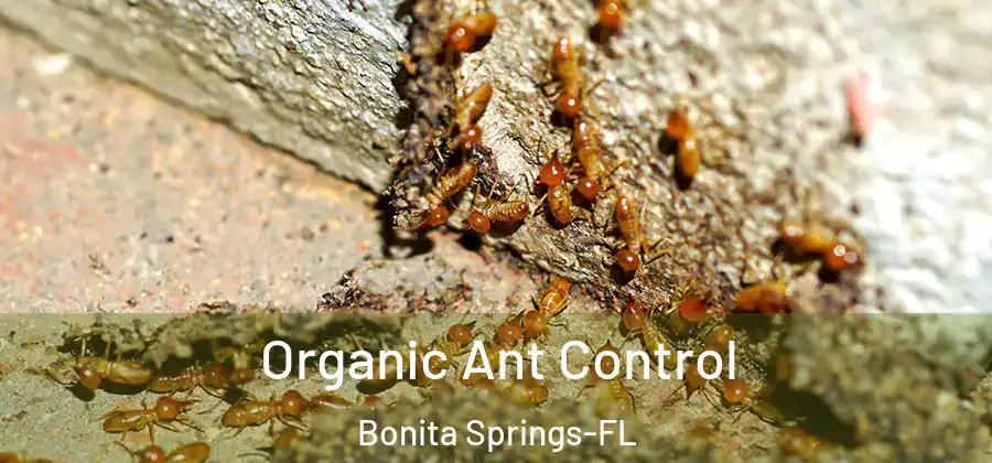  Organic Ant Control Bonita Springs-FL