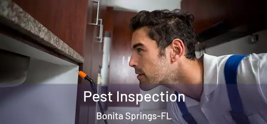 Pest Inspection Bonita Springs-FL