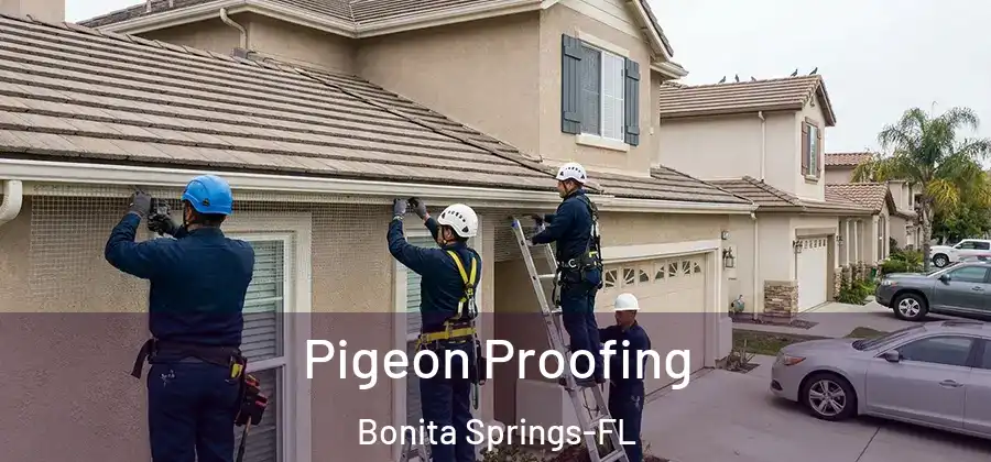 Pigeon Proofing Bonita Springs-FL