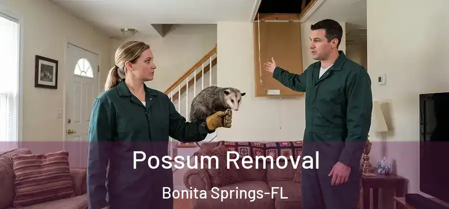 Possum Removal Bonita Springs-FL