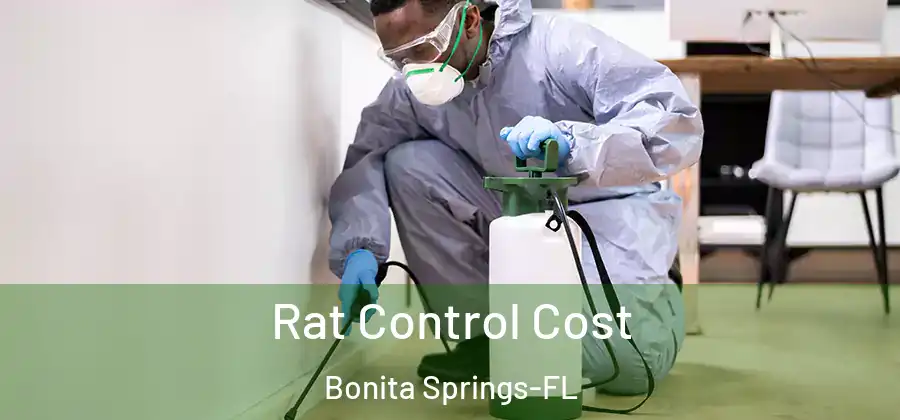 Rat Control Cost Bonita Springs-FL