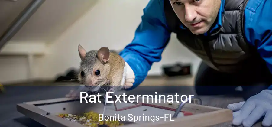  Rat Exterminator Bonita Springs-FL