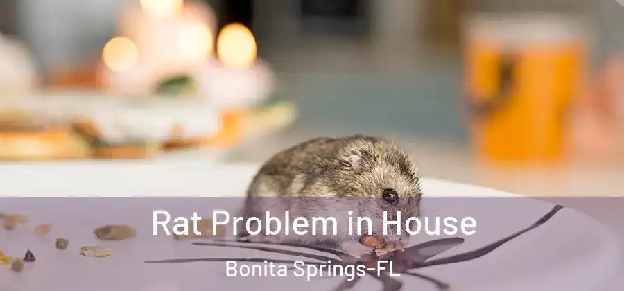 Rat Problem in House Bonita Springs-FL
